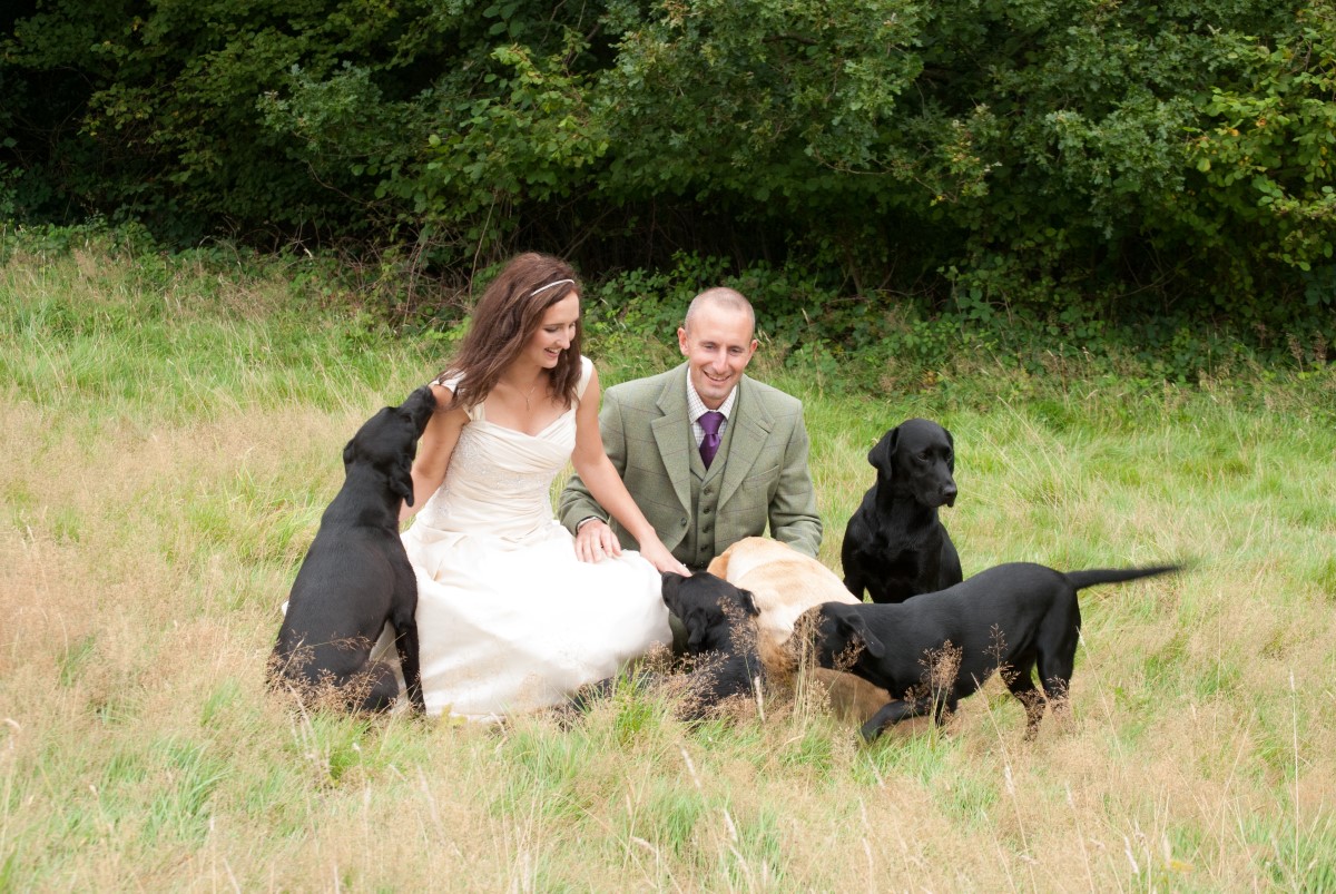 Old Station Kennels Kennels in Leicester